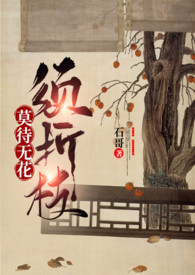 莫待无花空折枝小说免费